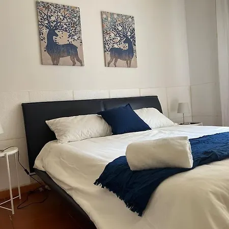 Cavalieri * Modena